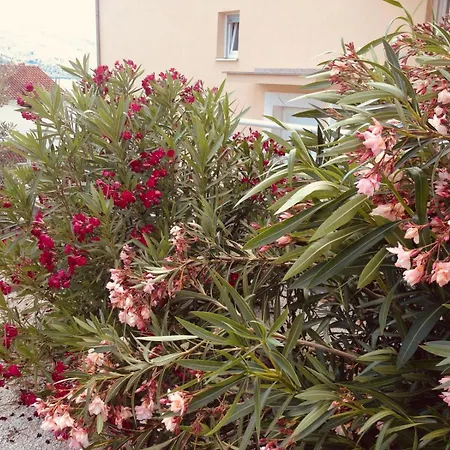 Apartmán Agradable Trogir *